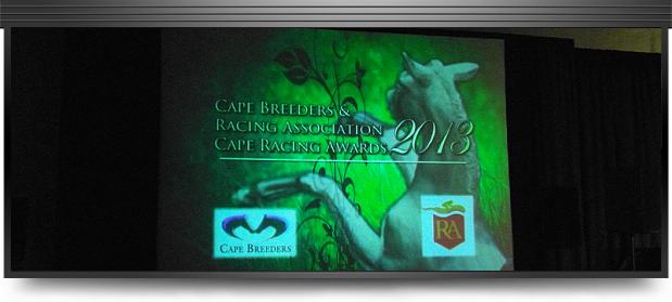 Cape Breeders & Racing Association Racing Awards