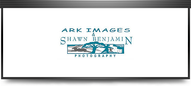 Shawn Benjamin Photography & Ark Images