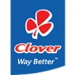 Clover